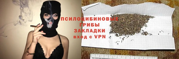 крисы Аркадак