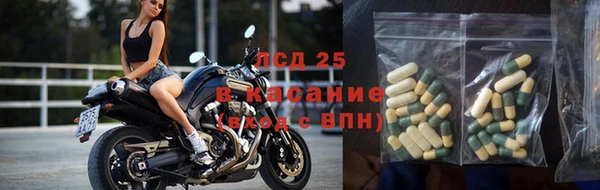 гидра Арсеньев