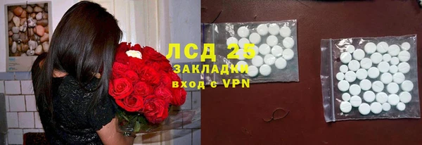 крисы Аркадак