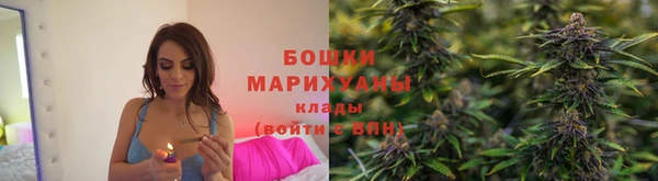 крисы Аркадак