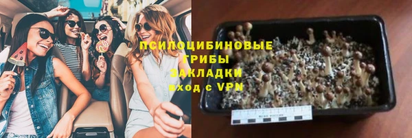 гидра Арсеньев